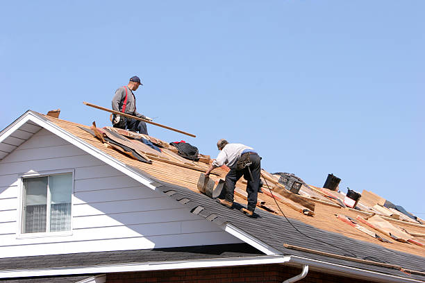 Best Metal Roofing Installation  in Rochester, IL