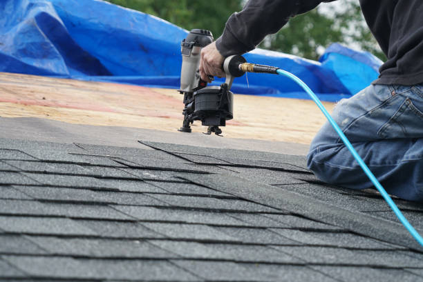 Best Asphalt Shingle Roofing  in Rochester, IL